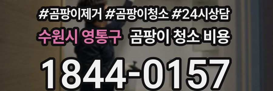 수원시 영통구 곰팡이 청소 비용