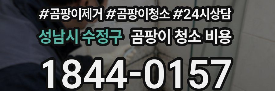성남시 수정구 곰팡이 청소 비용