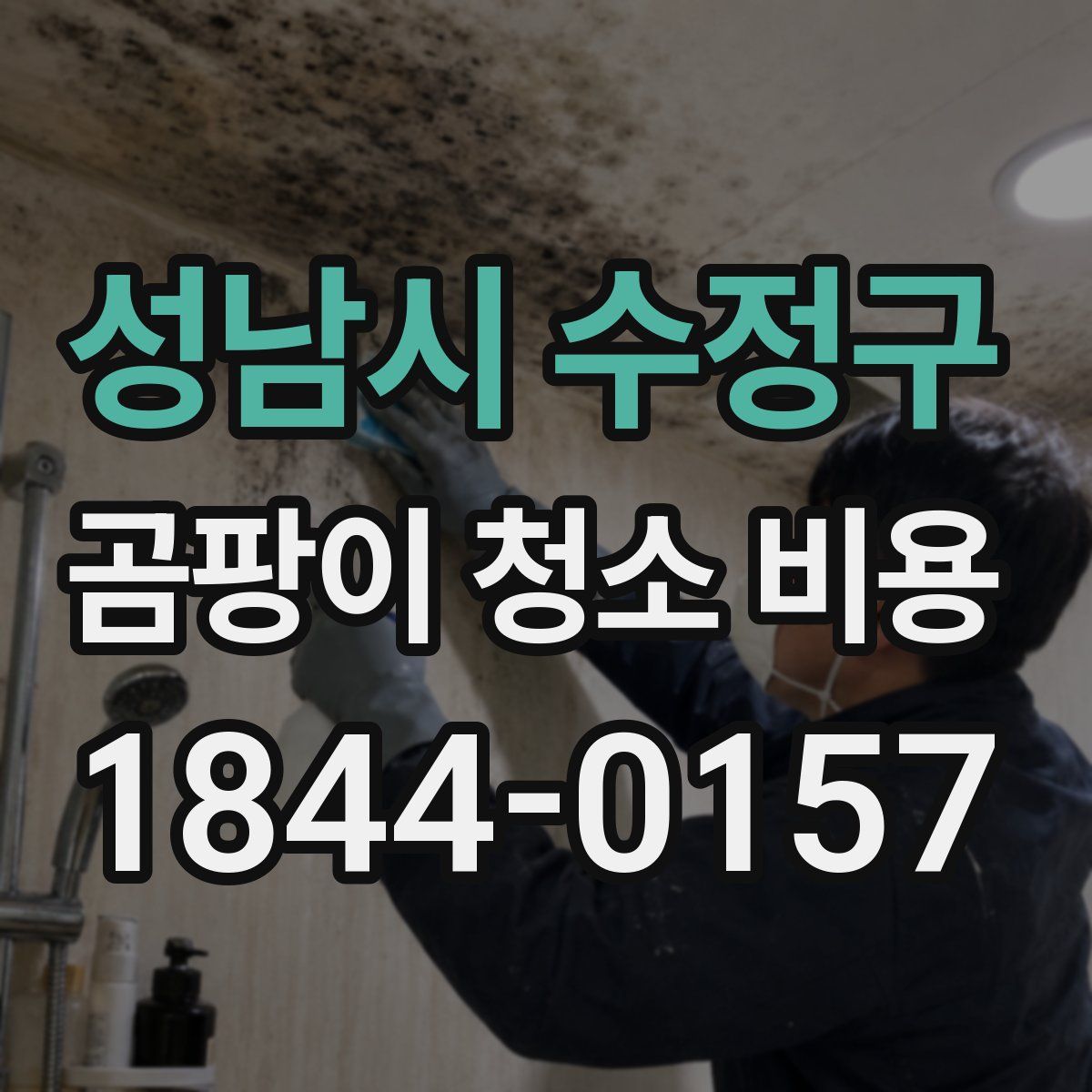 성남시 수정구 곰팡이 청소 비용