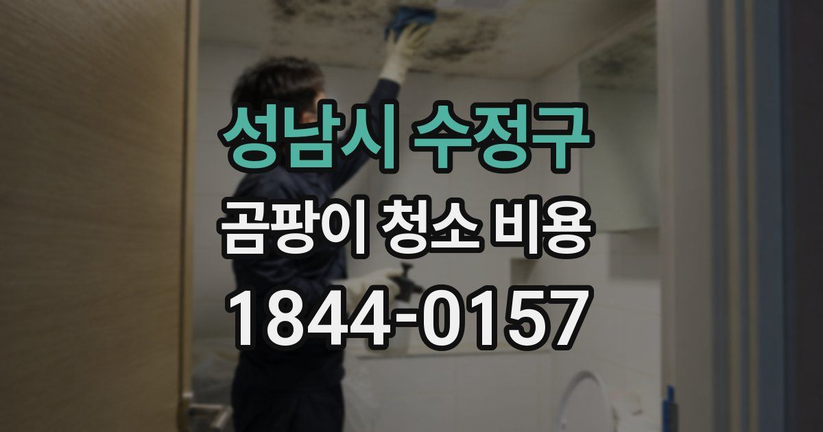 성남시 수정구 곰팡이 청소 비용