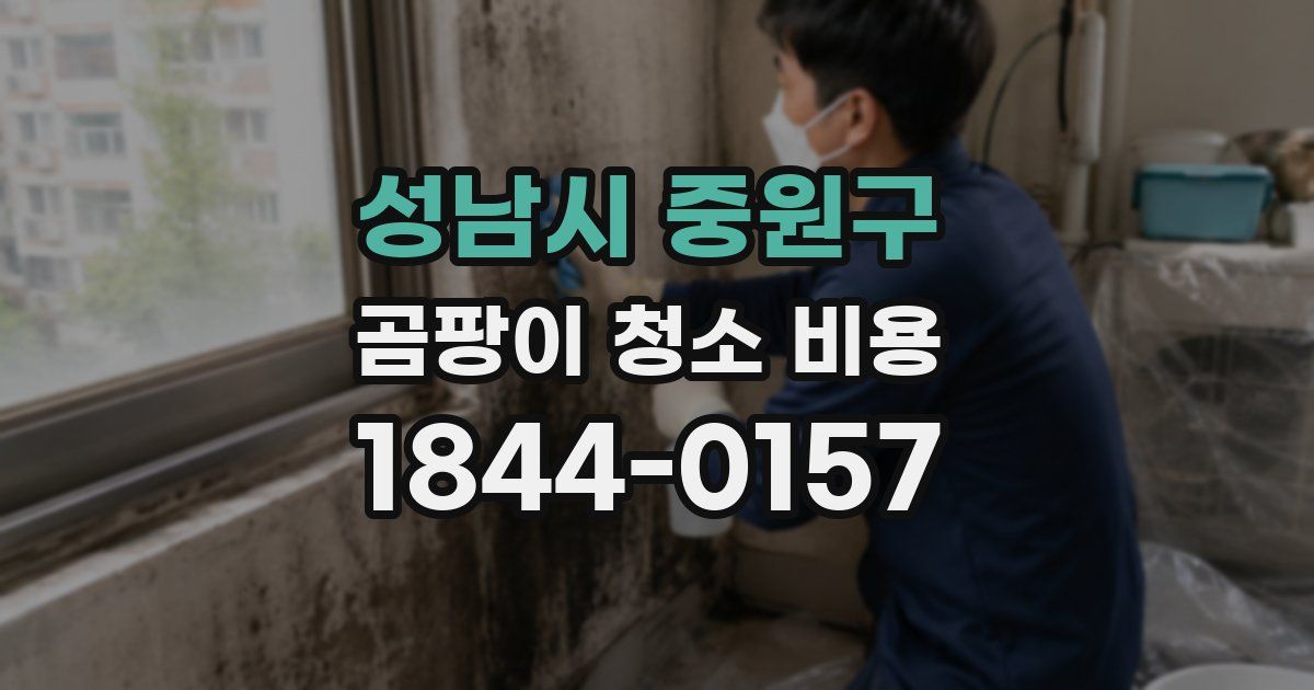 성남시 중원구 곰팡이 청소 비용