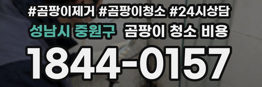 성남시 중원구 곰팡이 청소 비용