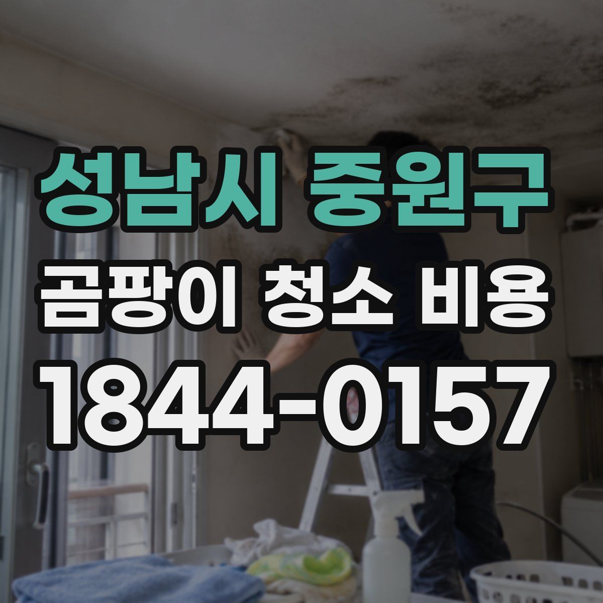 성남시 중원구 곰팡이 청소 비용