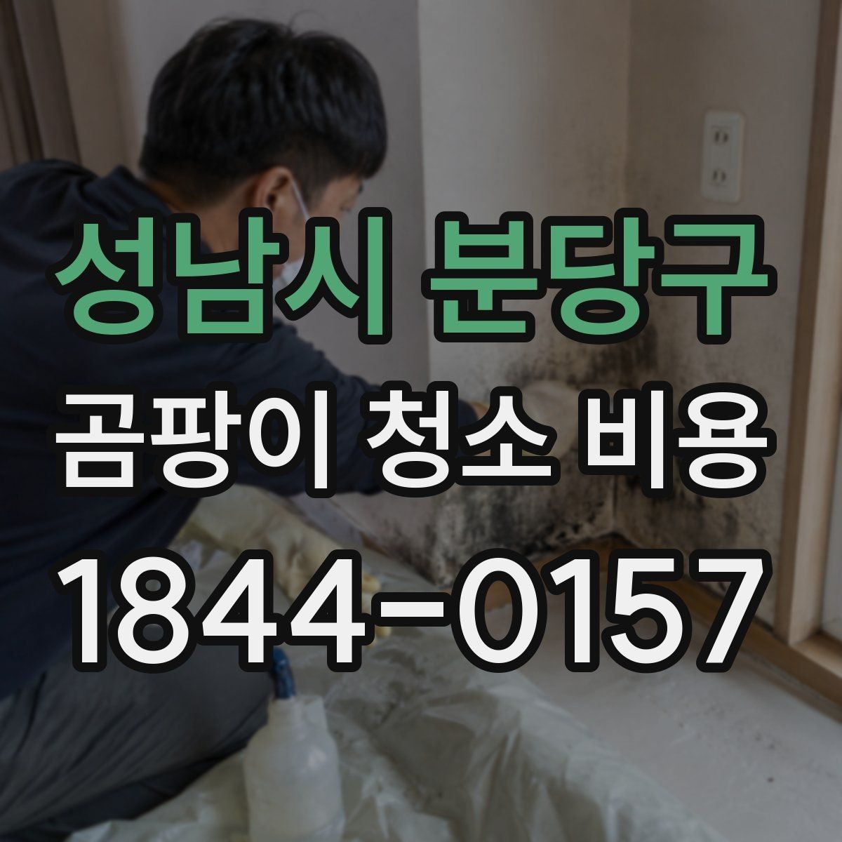 성남시 분당구 곰팡이 청소 비용 전체 작업이 필요한 현장 특징 정리