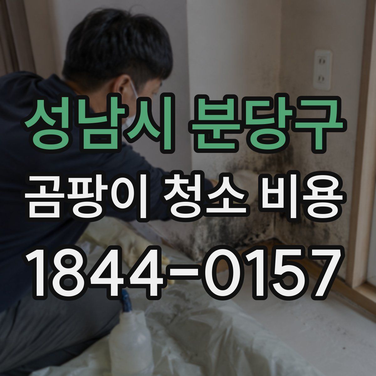 성남시 분당구 곰팡이 청소 비용