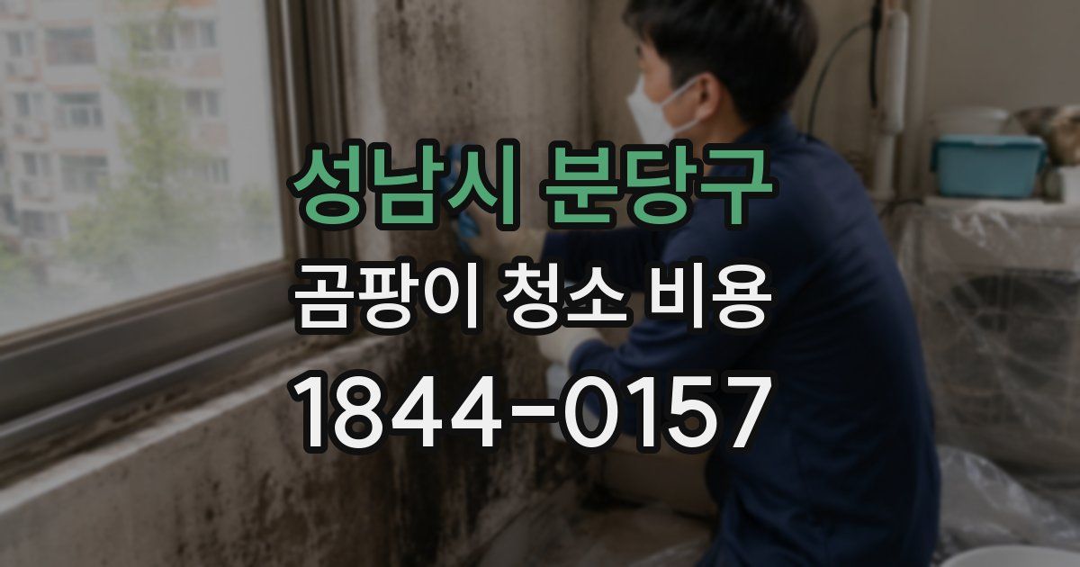 성남시 분당구 곰팡이 청소 비용