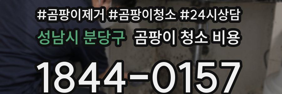 성남시 분당구 곰팡이 청소 비용