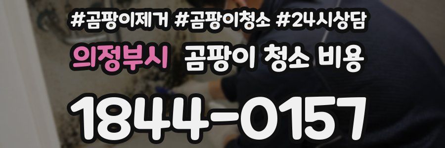 의정부시 곰팡이 청소 비용
