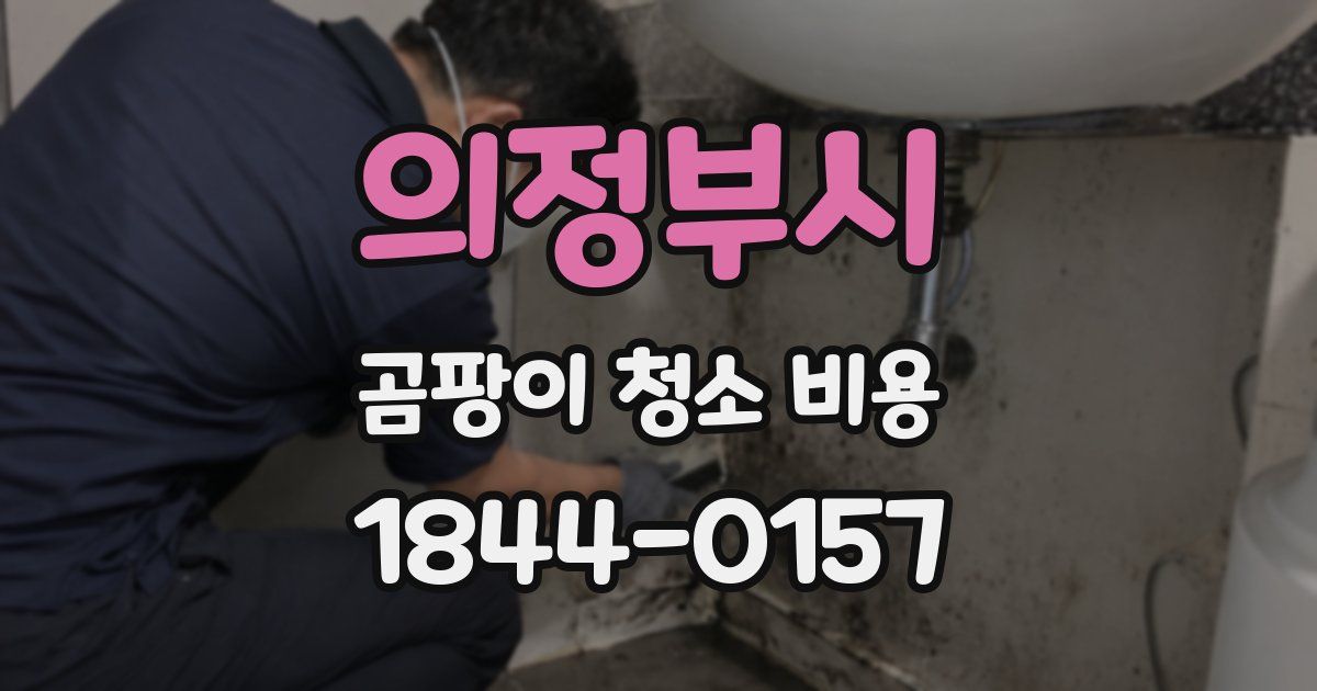 의정부시 곰팡이 청소 비용