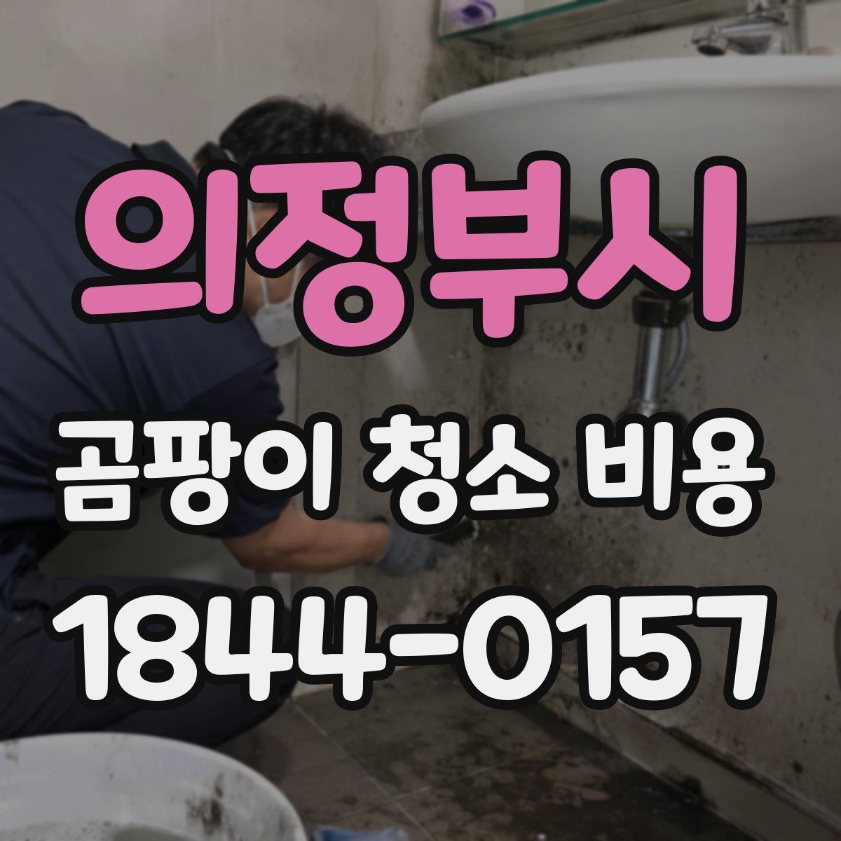의정부시 곰팡이 청소 비용