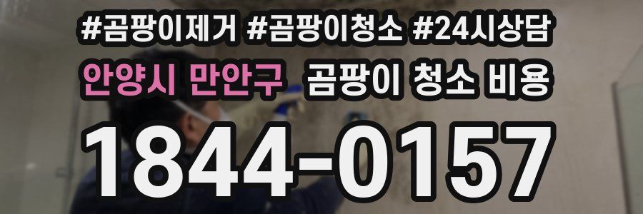 안양시 만안구 곰팡이 청소 비용