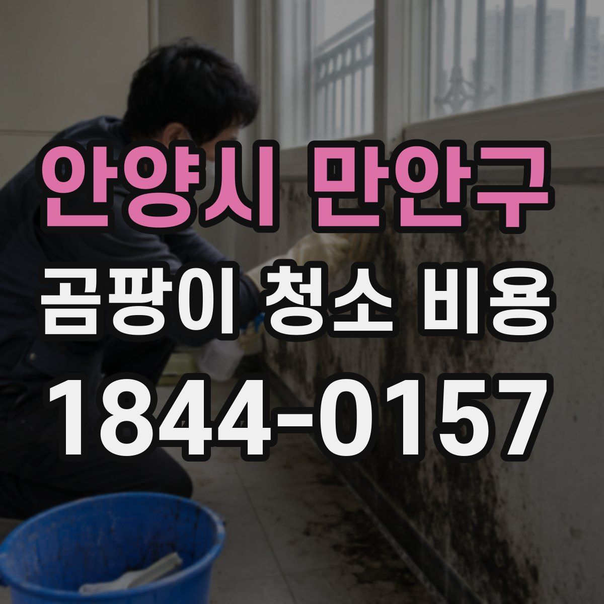 안양시 만안구 곰팡이 청소 비용