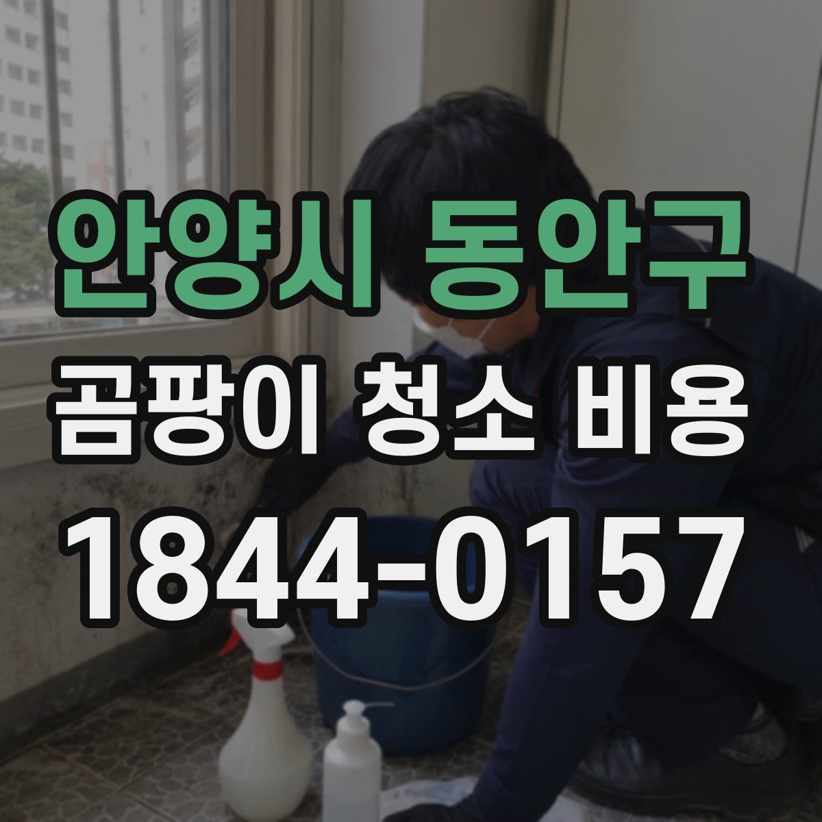 안양시 동안구 곰팡이 청소 비용