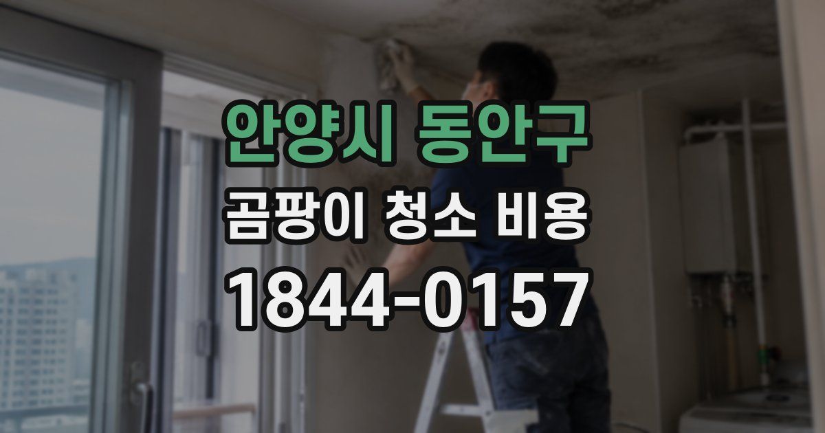 안양시 동안구 곰팡이 청소 비용