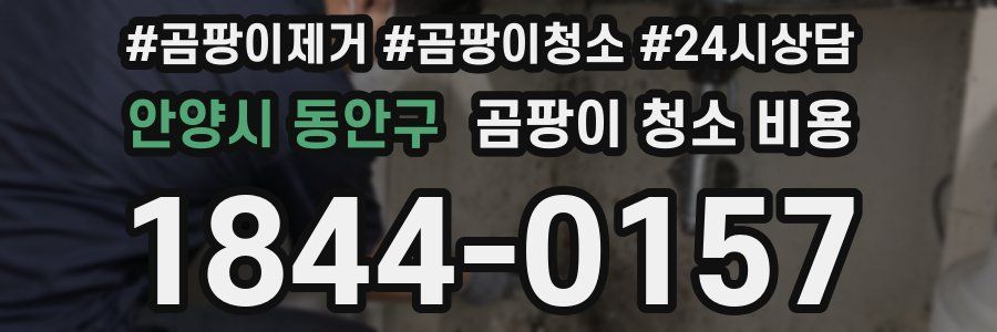 안양시 동안구 곰팡이 청소 비용