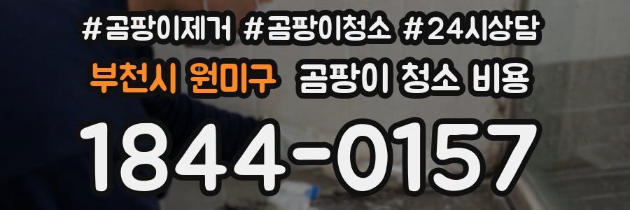 부천시 원미구 곰팡이 청소 비용