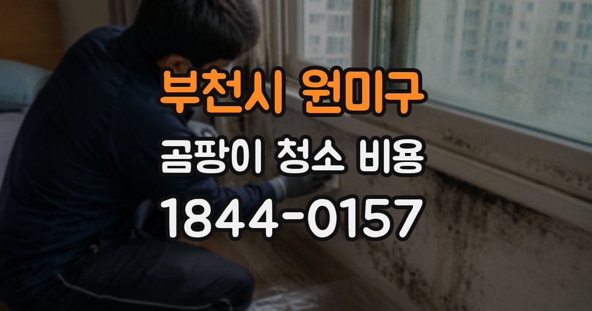 부천시 원미구 곰팡이 청소 비용