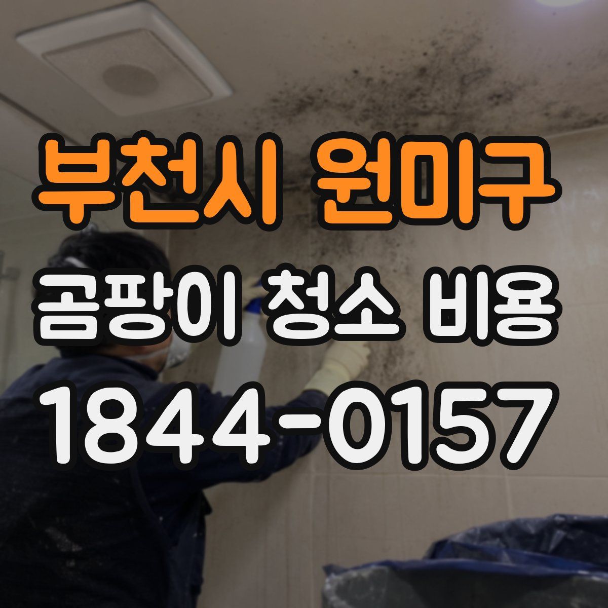 부천시 원미구 곰팡이 청소 비용