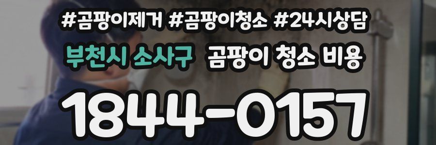 부천시 소사구 곰팡이 청소 비용