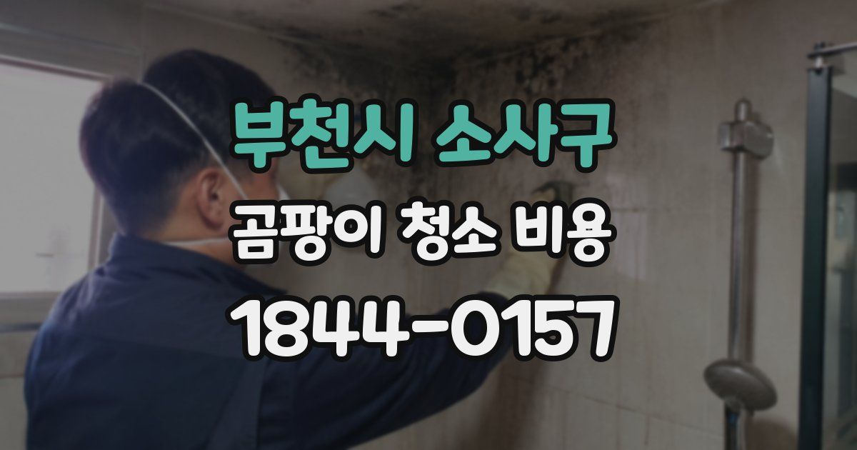 부천시 소사구 곰팡이 청소 비용
