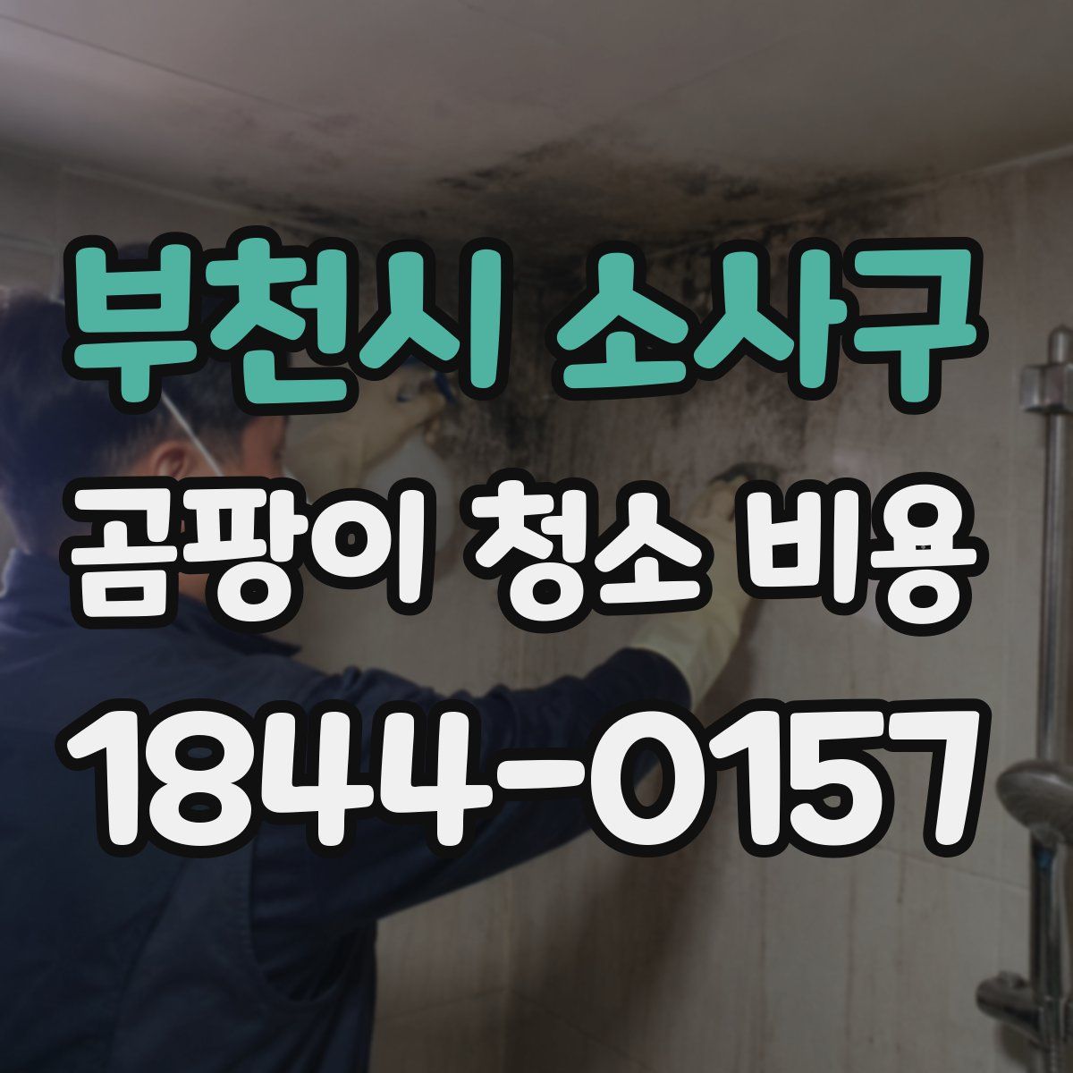 부천시 소사구 곰팡이 청소 비용