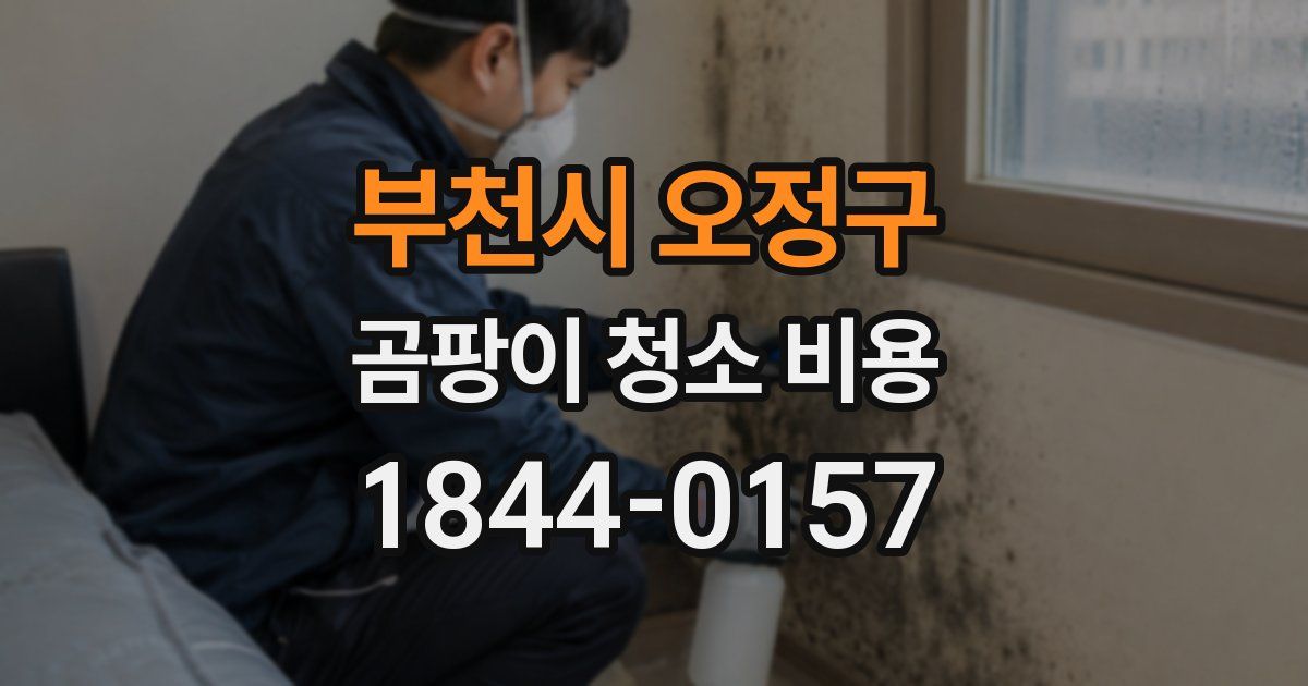 부천시 오정구 곰팡이 청소 비용