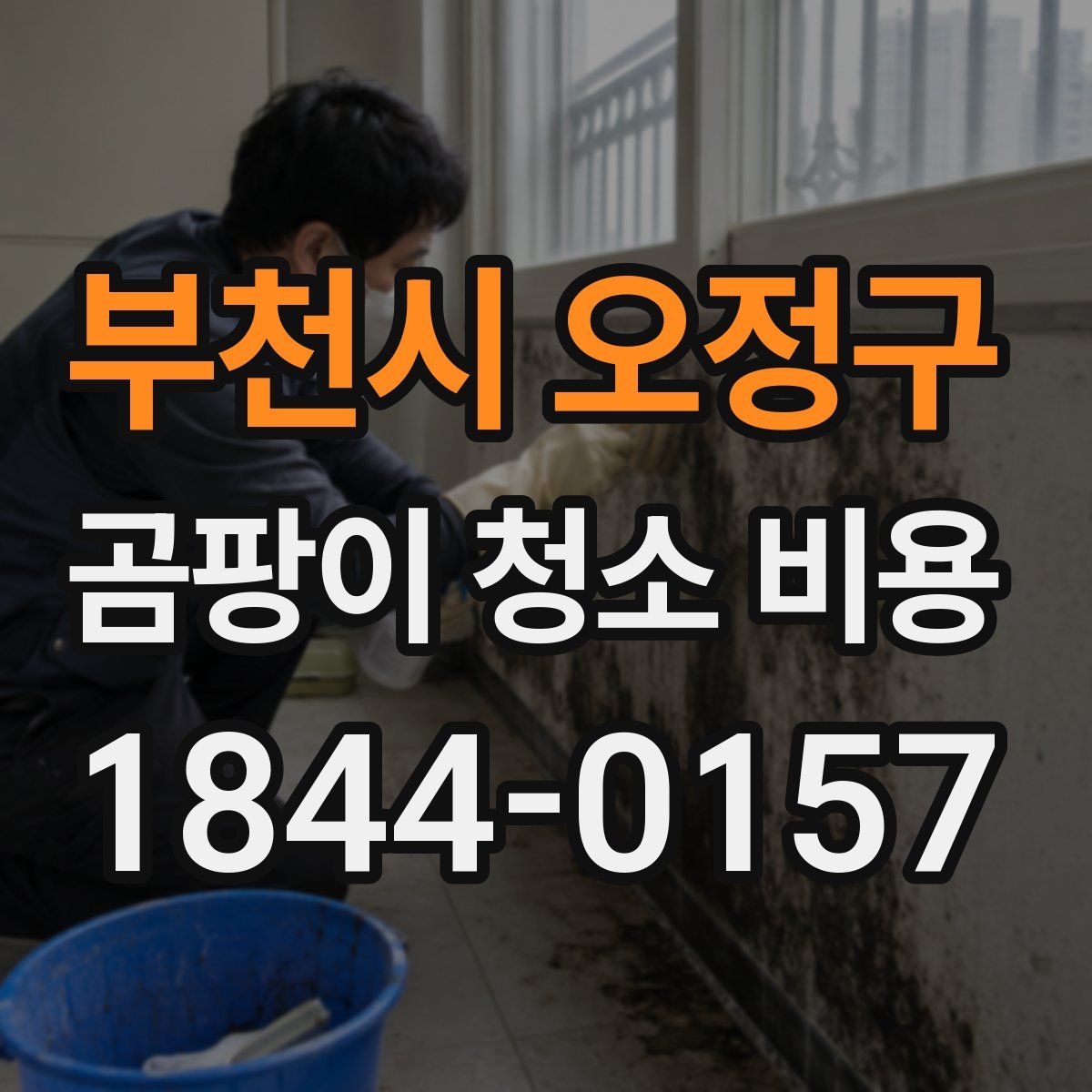 부천시 오정구 곰팡이 청소 비용