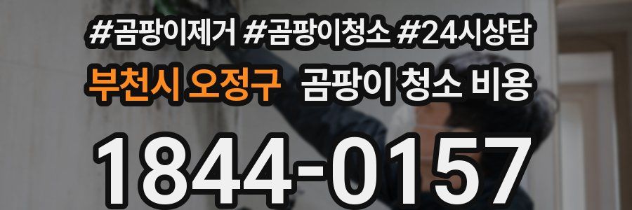 부천시 오정구 곰팡이 청소 비용