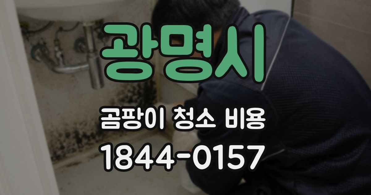 광명시 곰팡이 청소 비용