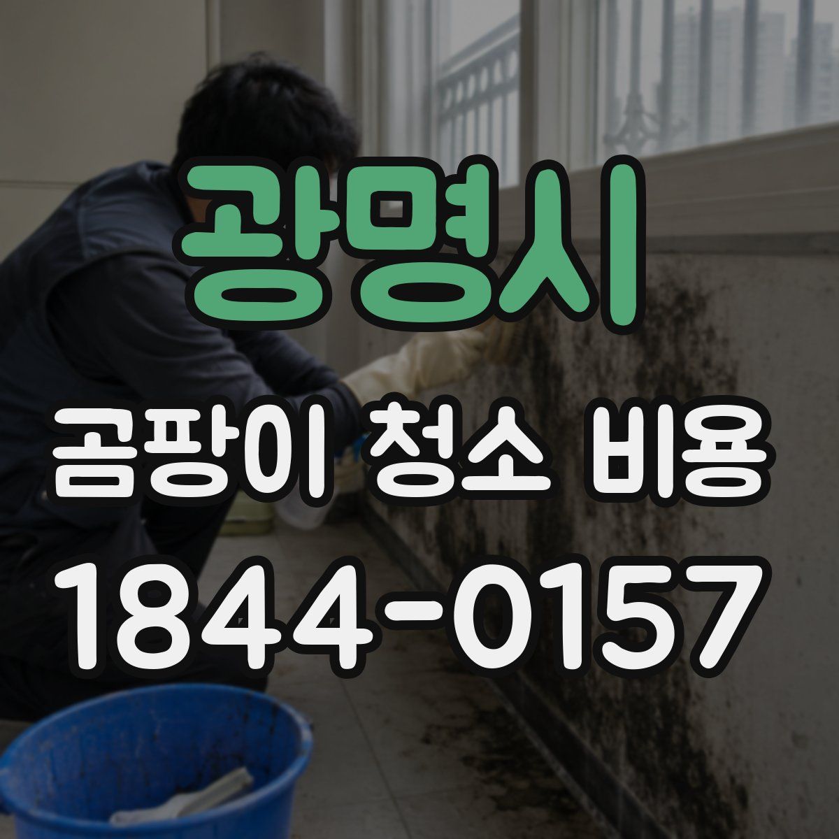 광명시 곰팡이 청소 비용