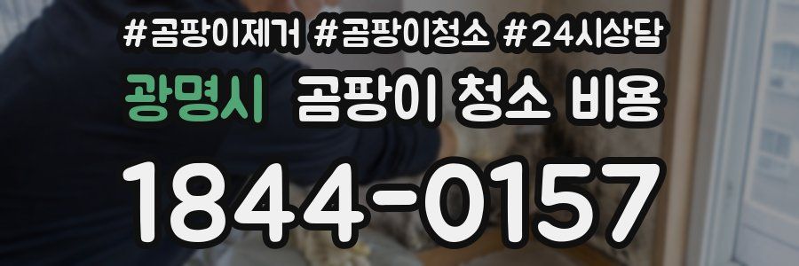 광명시 곰팡이 청소 비용