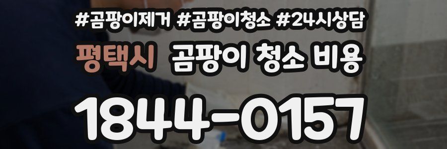 평택시 곰팡이 청소 비용