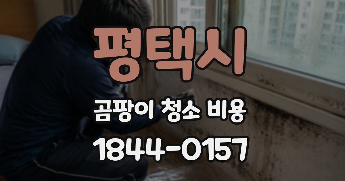 평택시 곰팡이 청소 비용