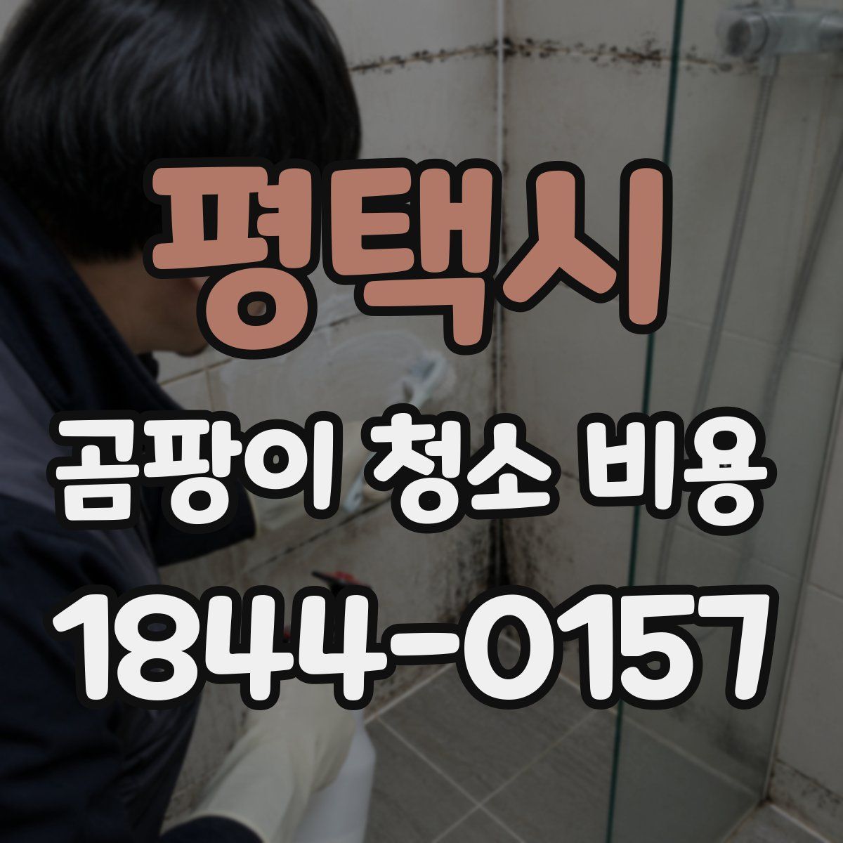 평택시 곰팡이 청소 비용