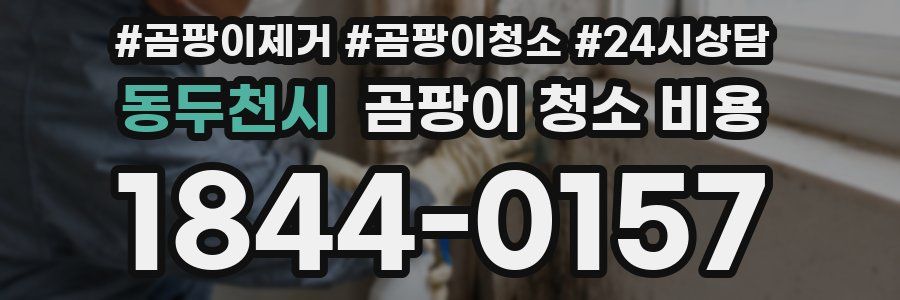 동두천시 곰팡이 청소 비용