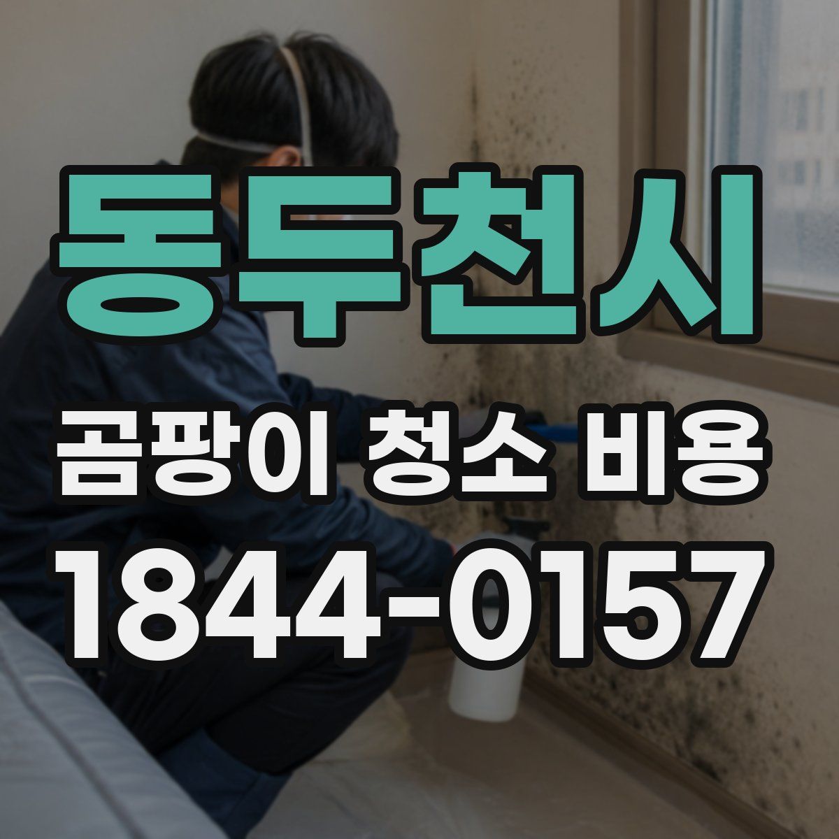 동두천시 곰팡이 청소 비용