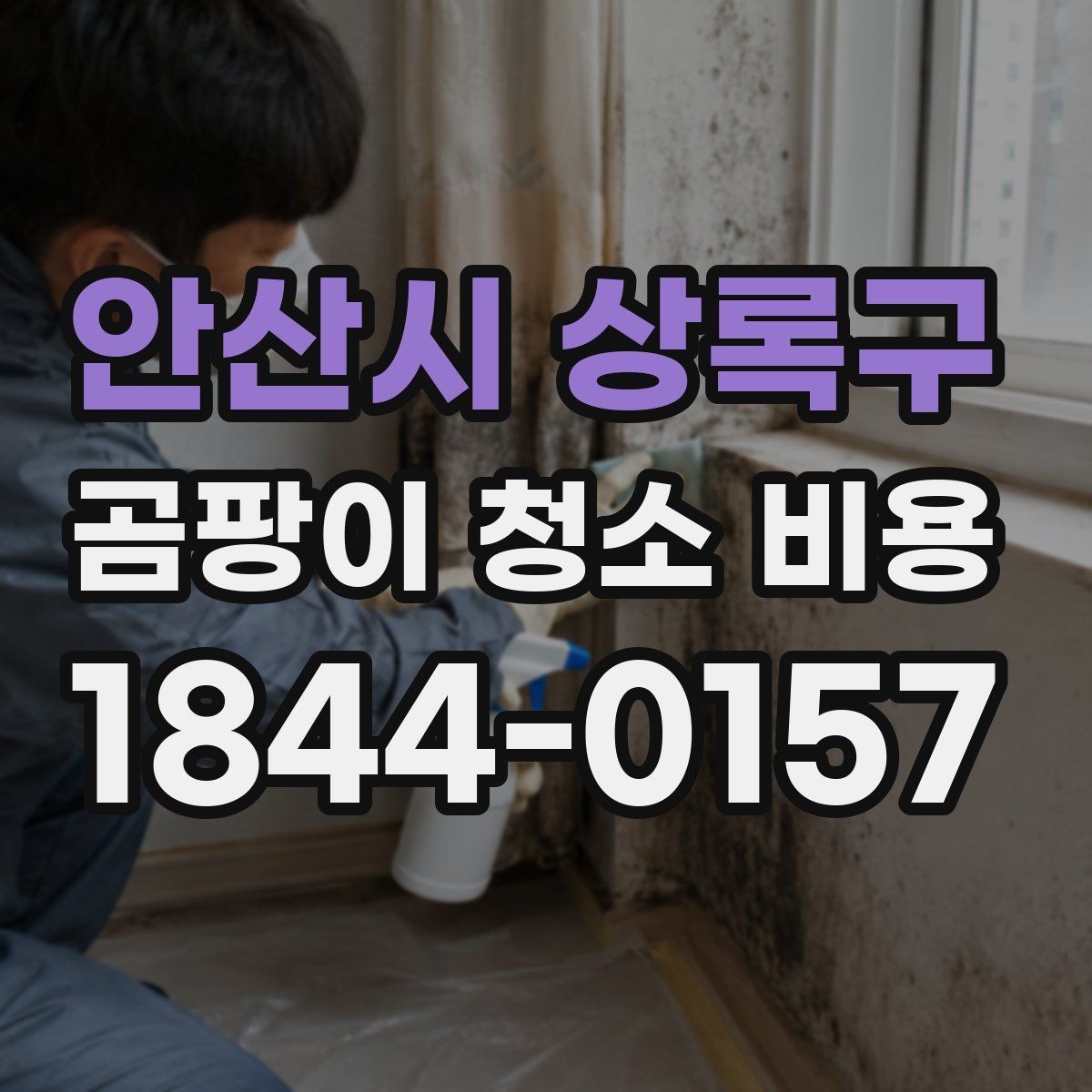 안산시 상록구 곰팡이 청소 비용 냄새가 오래 남는 집에서 점검할 항목