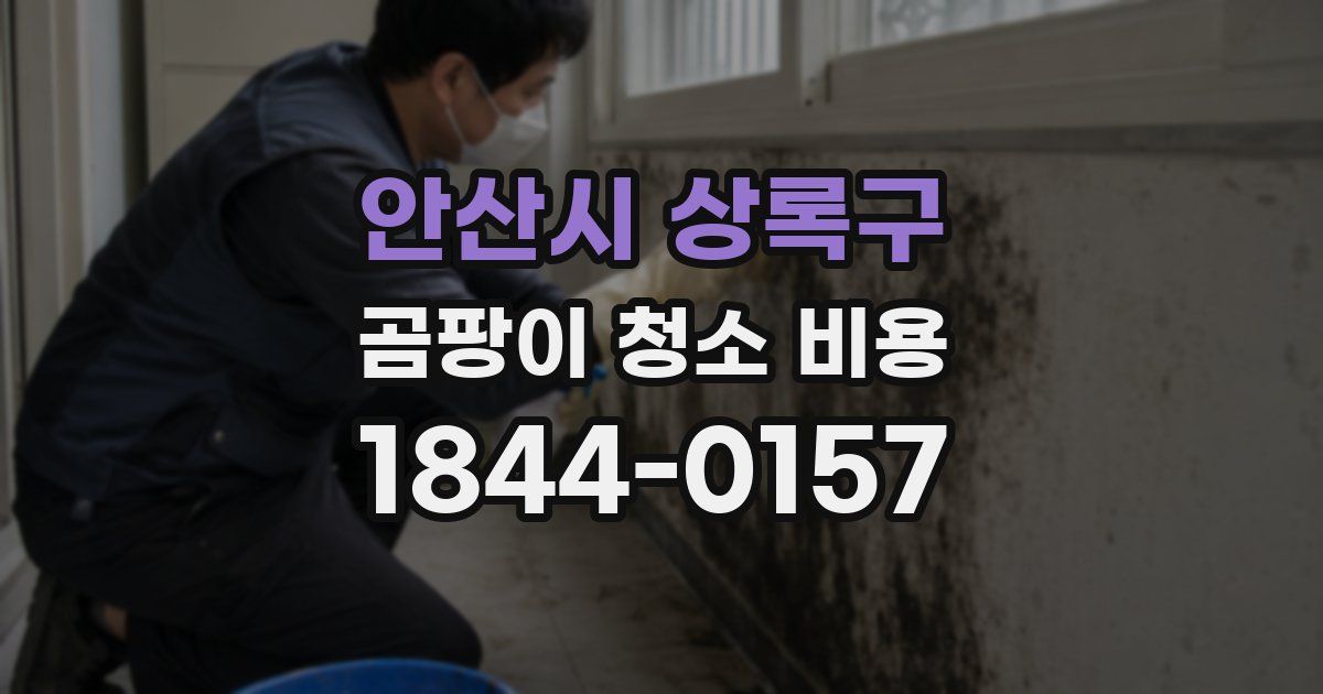 안산시 상록구 곰팡이 청소 비용