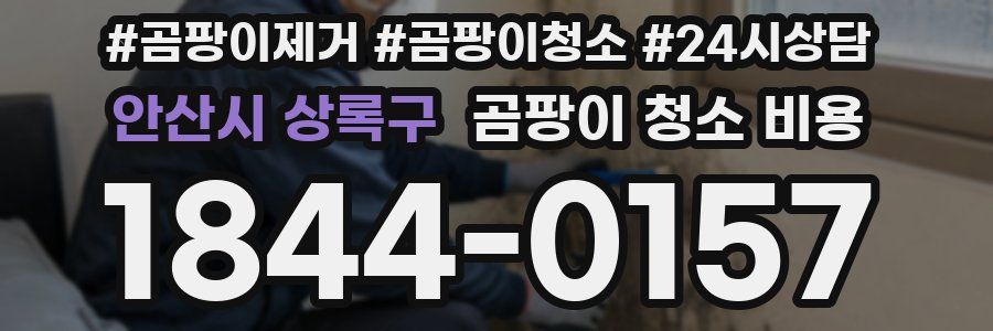 안산시 상록구 곰팡이 청소 비용