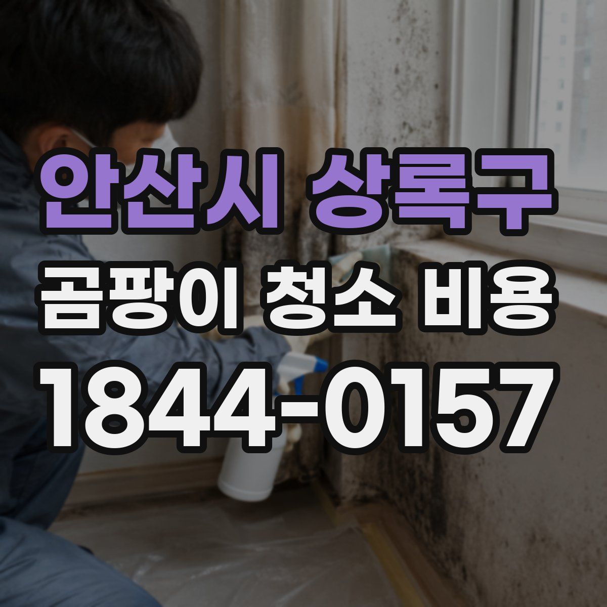 안산시 상록구 곰팡이 청소 비용