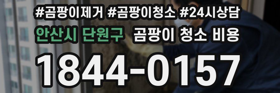 안산시 단원구 곰팡이 청소 비용