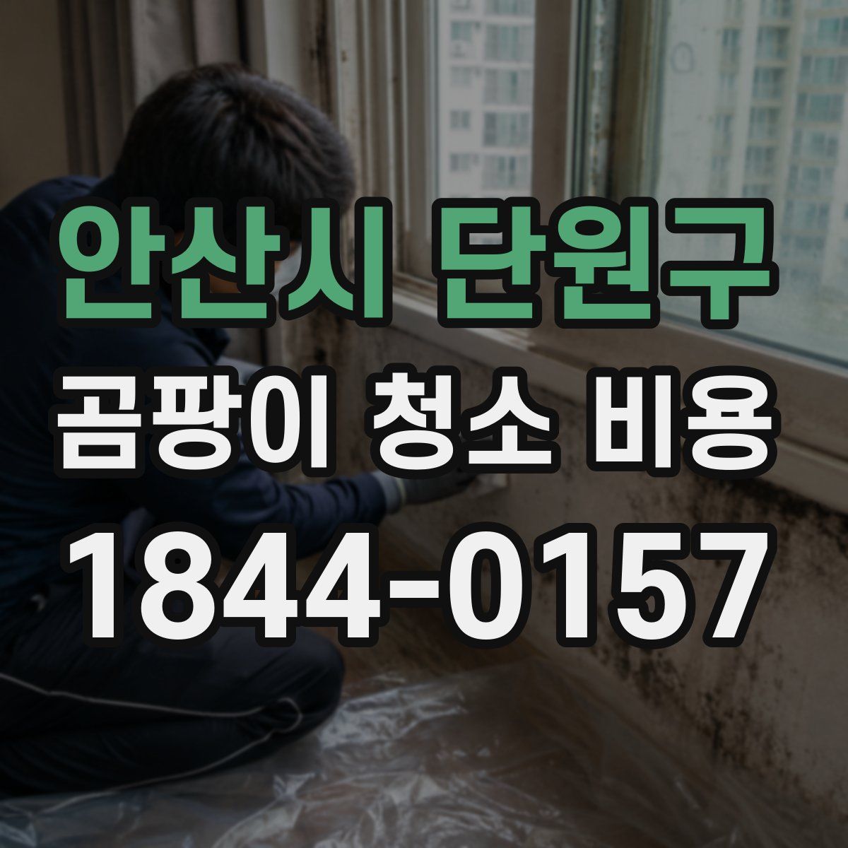 안산시 단원구 곰팡이 청소 비용