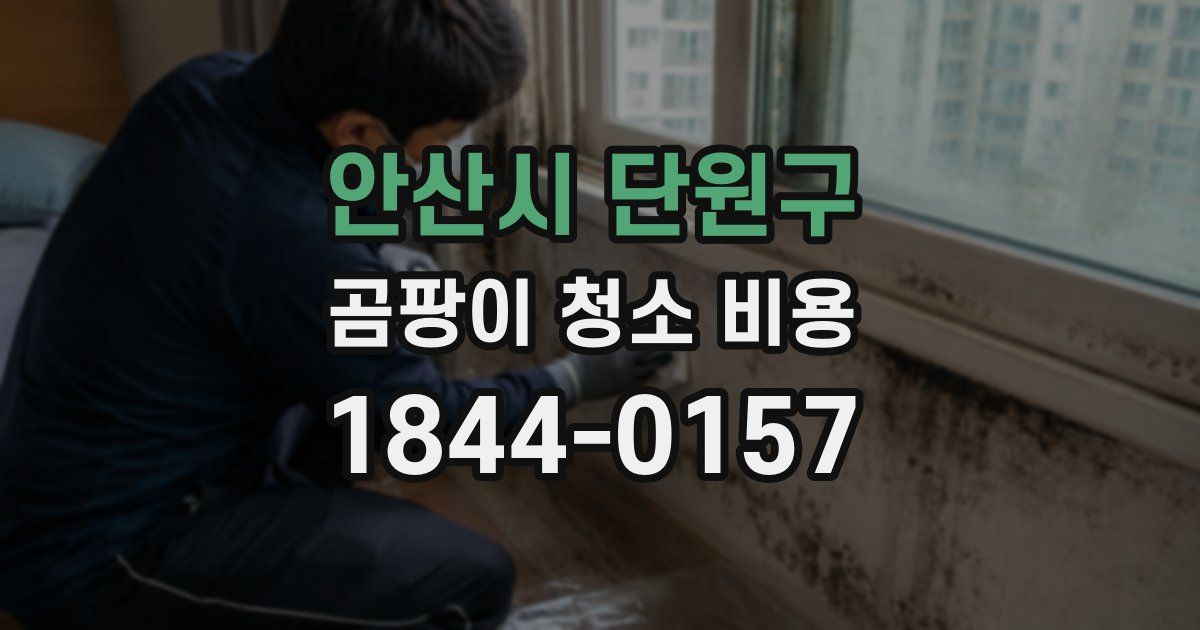 안산시 단원구 곰팡이 청소 비용