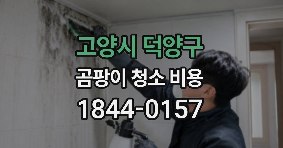 고양시 덕양구 곰팡이 청소 비용