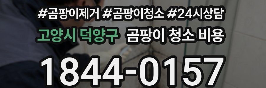 고양시 덕양구 곰팡이 청소 비용