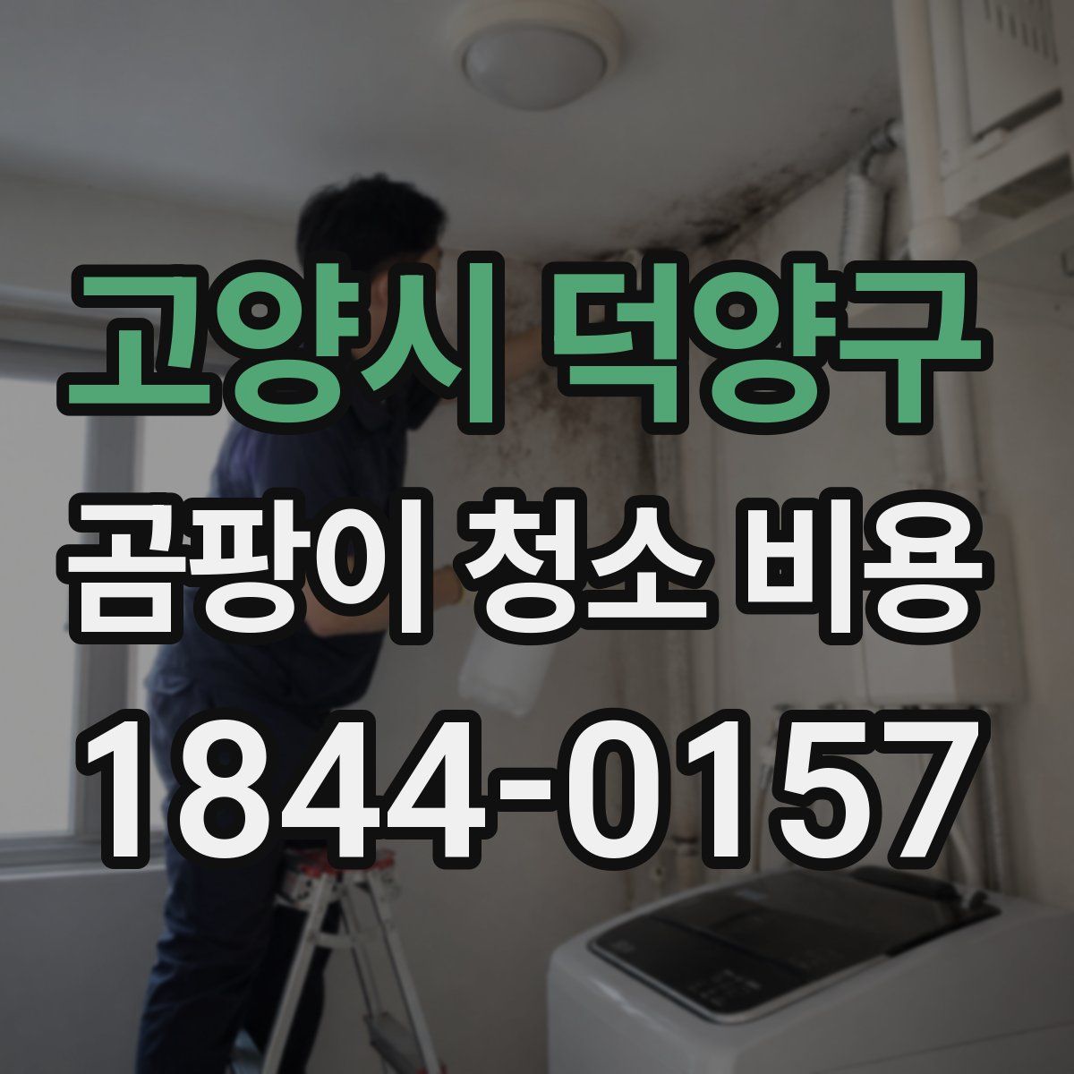 고양시 덕양구 곰팡이 청소 비용