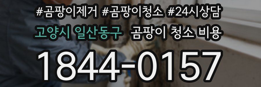 고양시 일산동구 곰팡이 청소 비용