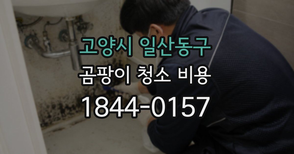 고양시 일산동구 곰팡이 청소 비용