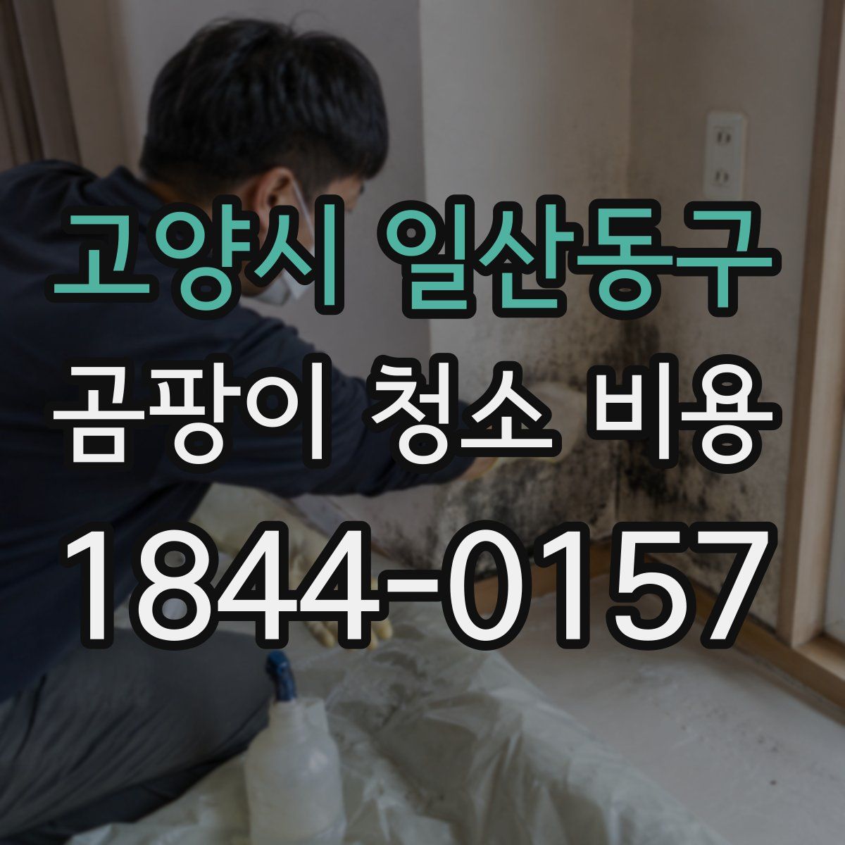 고양시 일산동구 곰팡이 청소 비용