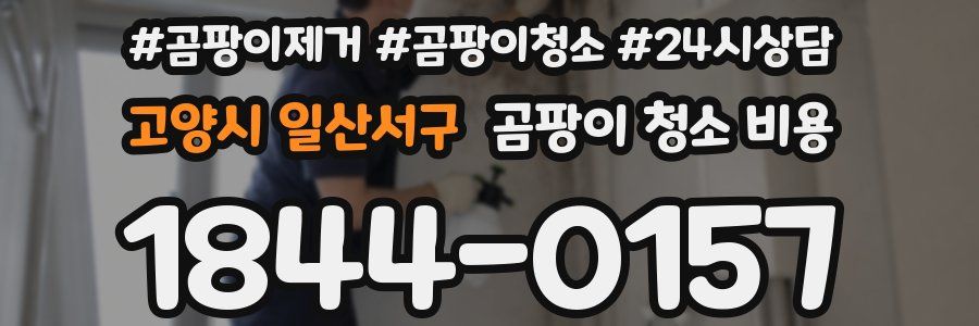 고양시 일산서구 곰팡이 청소 비용